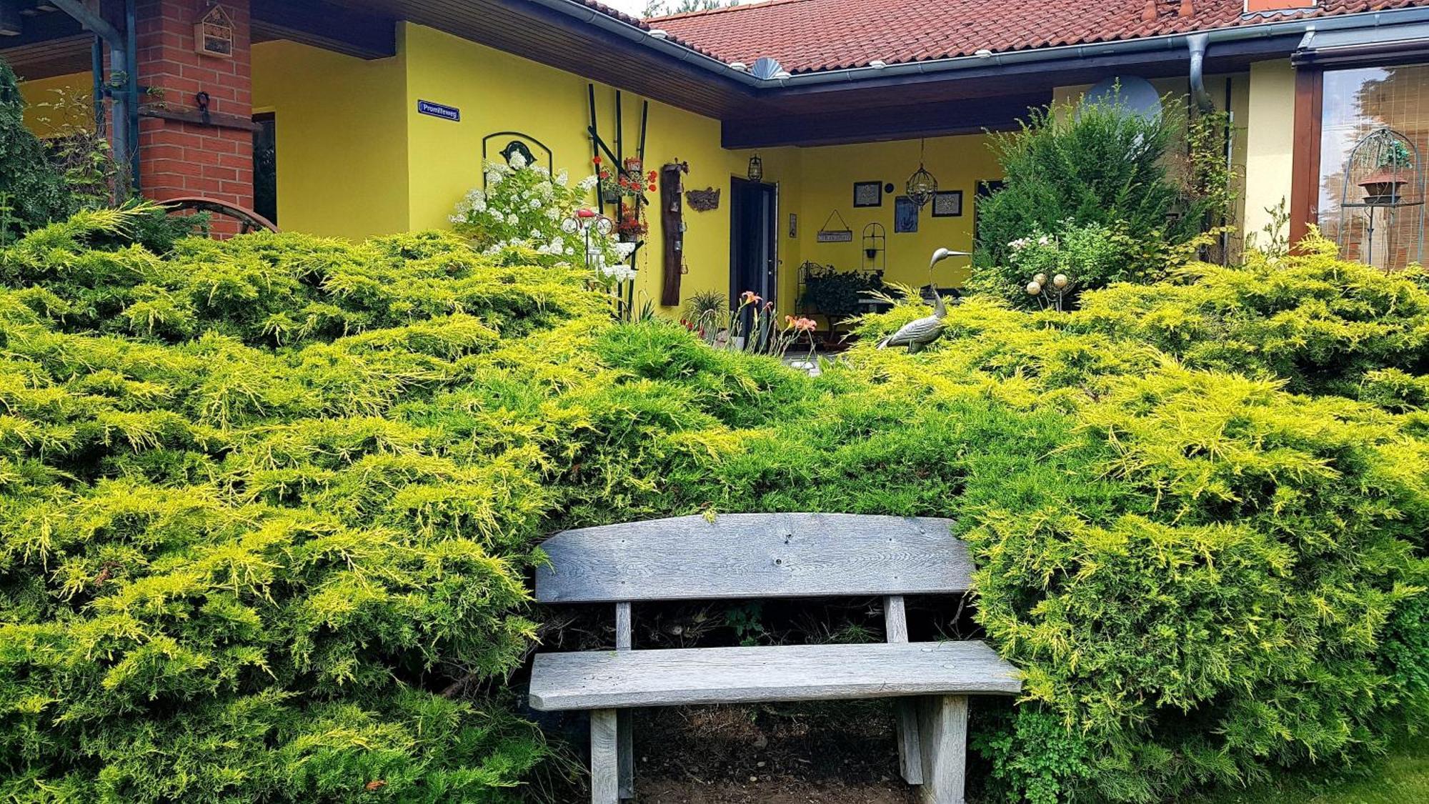 Ferienwohnung Guenther , 3 - Sterne Waren  Buitenkant foto